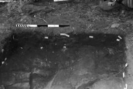 NMSA 03 9063P