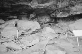 NMSA 03 8833P