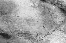 NMSA 03 965P