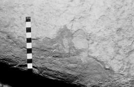 NMSA 03 6041P