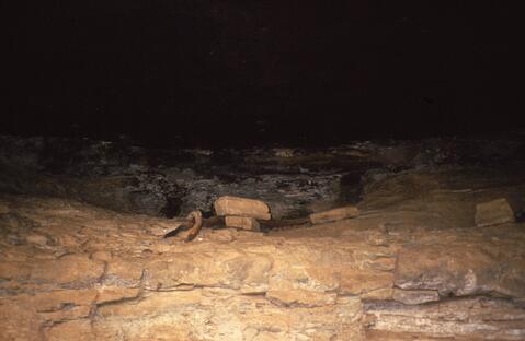 Open original Digitaal object