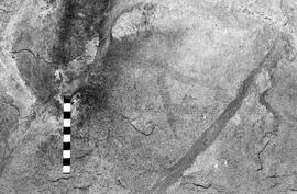NMSA 03 6392P