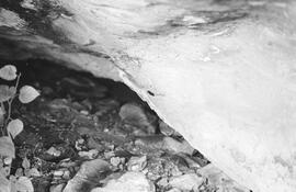 NMSA 03 1749P