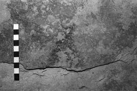 NMSA 03 5777P