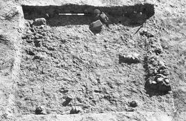 NMSA 03 719P