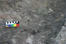 NMSA RSA PLH1 13D