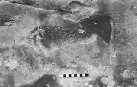 NMSA 03 4730P