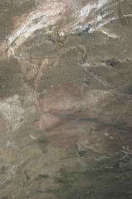 NMSA RSA GEO1 23D