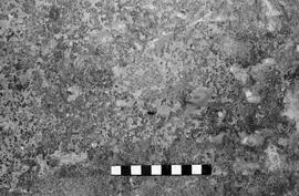 NMSA 03 4210P