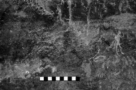 NMSA 03 3408P