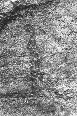 NMSA 03 214P