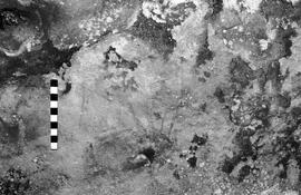 NMSA 03 4557P