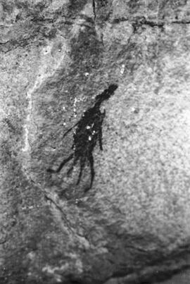 NMSA 03 5045P