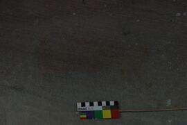 NMSA RSA MFR1 7D