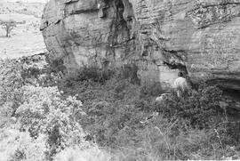 NMSA 03 228P