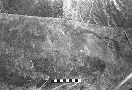 NMSA 03 6203P