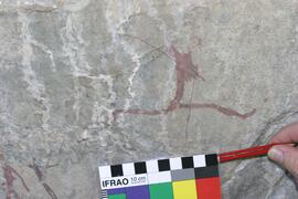 NMSA RSA LOM1 8D