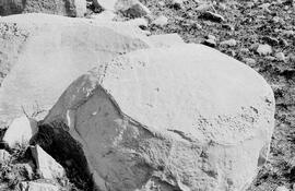 NMSA 03 8118P