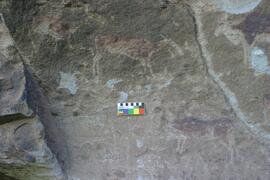 NMSA RSA SNW1 12D