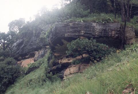 Open original Digitaal object