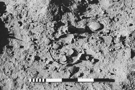NMSA 03 729P