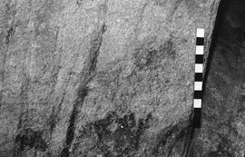 NMSA 03 6525P