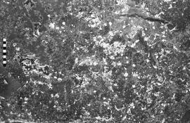 NMSA 03 6886P