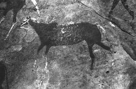 NMSA 03 459P