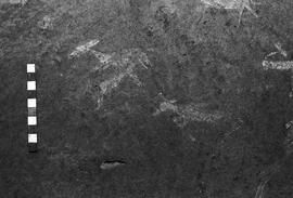 NMSA 03 4589P