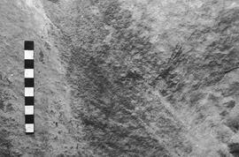 NMSA 03 4331P