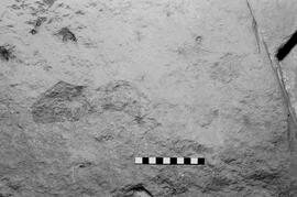 NMSA 03 5352P