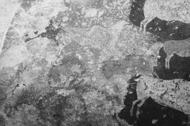 NMSA 03 8348P