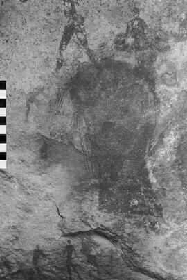 NMSA 03 5261P
