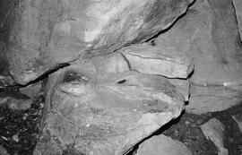 NMSA 03 5854P