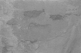 NMSA 03 8363P