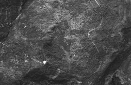 NMSA 03 8313P