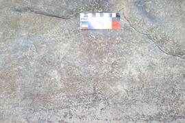 NMSA RSA VAO1 11D