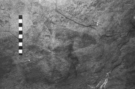 NMSA 03 6457P