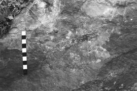 NMSA 03 6852P