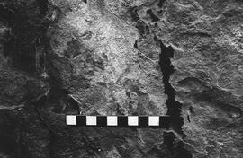 NMSA 03 2705P