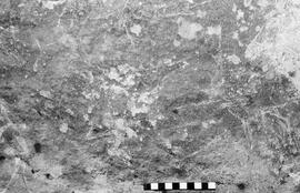 NMSA 03 6256P