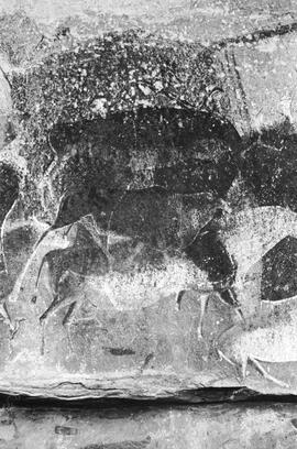 NMSA 03 5038P