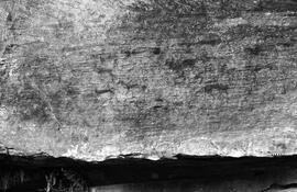 NMSA 03 6329P