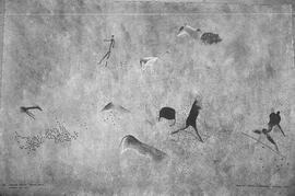 NMSA 03 7705P
