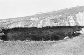 NMSA 03 1861P