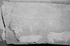 NMSA 03 8500P