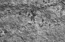 NMSA 03 123N