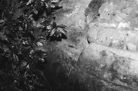 NMSA 03 4174P