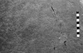 NMSA 03 6092P