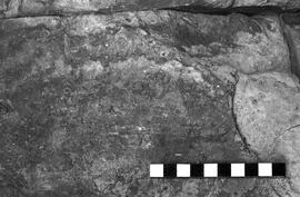 NMSA 03 2295P